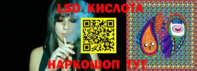крисы Будённовск