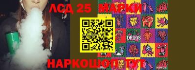 крисы Будённовск