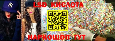 крисы Будённовск