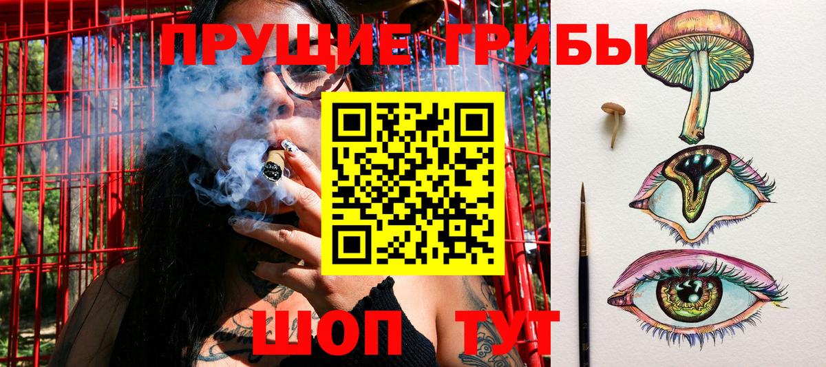 что такое наркотик  Вход с VPN  Приморско-Ахтарск  Псилоцибиновые грибы Psilocybine cubensis 