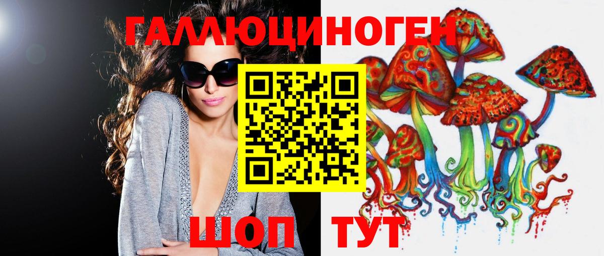 Псилоцибиновые грибы мицелий Приморско-Ахтарск